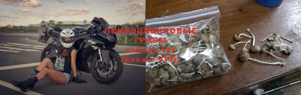 крисы Краснослободск