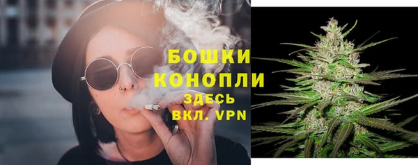 крисы Краснослободск