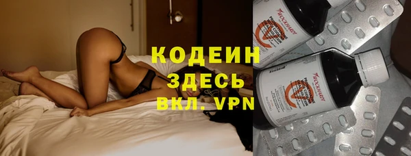 крисы Краснослободск