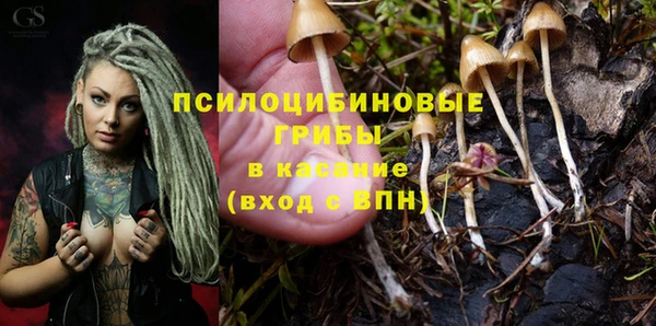 крисы Краснослободск