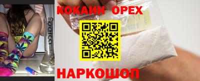крисы Краснодар