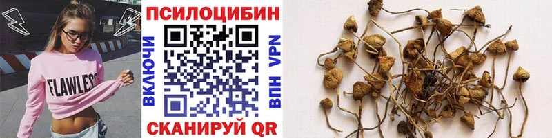 где купить наркоту  Феодосия  Псилоцибиновые грибы мухоморы 