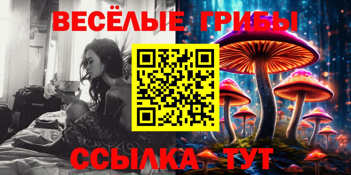 Псилоцибиновые грибы MAGIC MUSHROOMS  Вход с VPN  Феодосия  Псилоцибиновые грибы MAGIC MUSHROOMS 